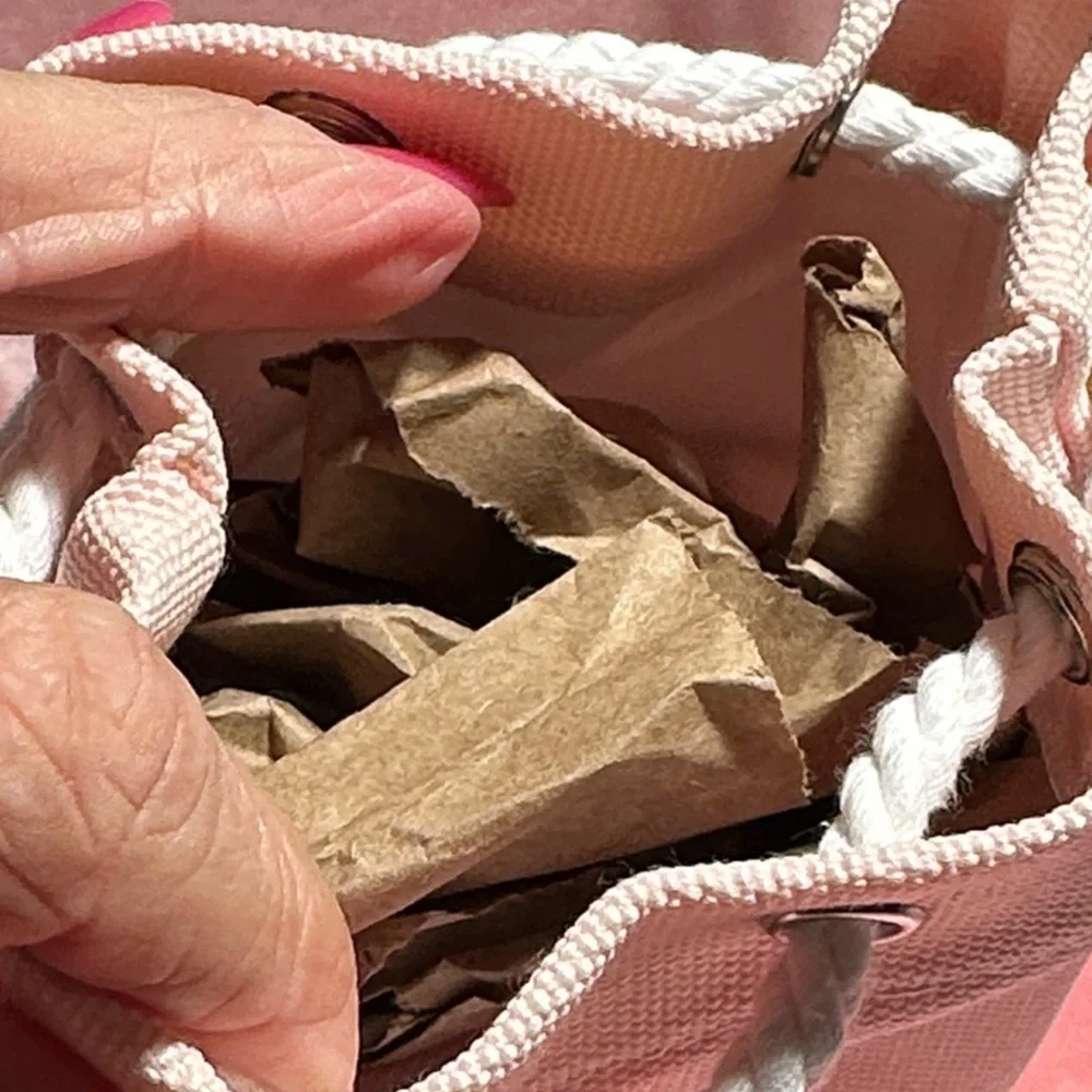 Dior chic pouch